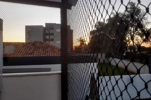Image hover effect image