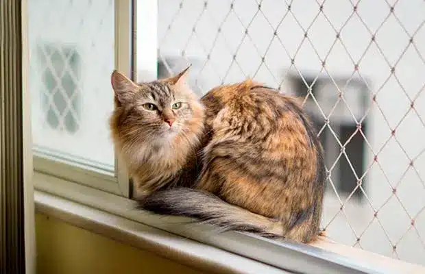 Redes de Proteção para Pets